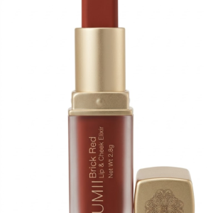 Lumi Brick Red Velvet Matte Lipstick